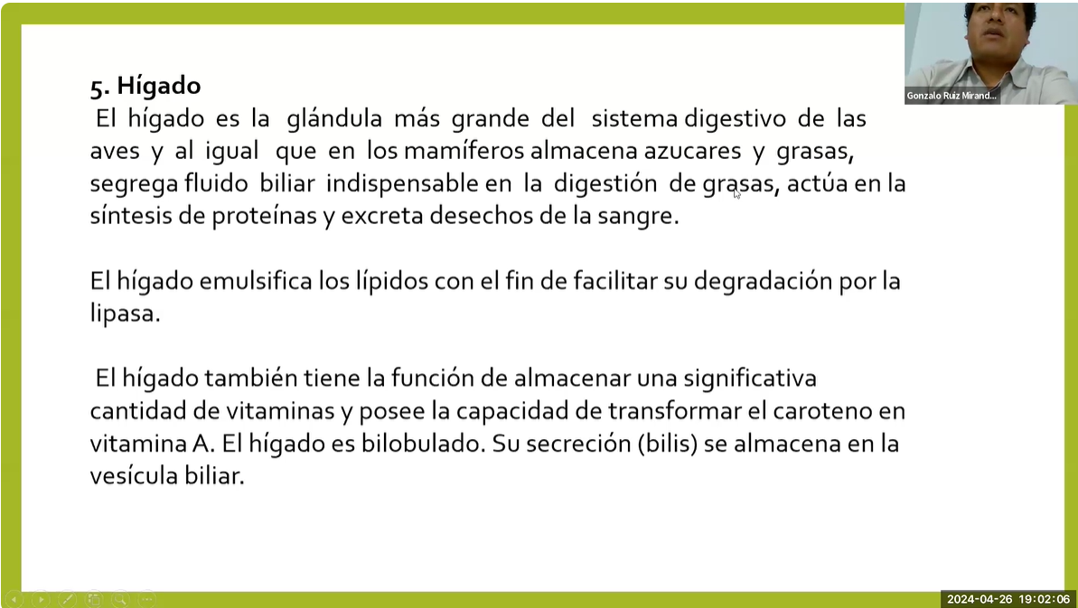 ANATOMÍA Y FISIOLOGÍA DEL SISTEMA DIGESTIVO DE ANIMALES MONOGÁSTRICOS 